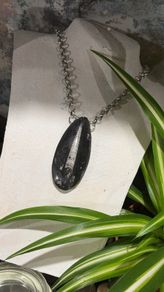 1 Ancient Energy Orthoceras Fossil Beautifully Soldered on a Chunky Silver Belcher Chain