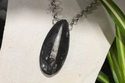 1 Ancient Energy Orthoceras Fossil Beautifully Soldered on a Chunky Silver Belcher Chain