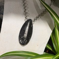 1 Ancient Energy Orthoceras Fossil Beautifully Soldered on a Chunky Silver Belcher Chain