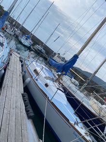 Trapper 28