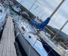 Trapper 28