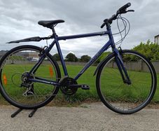 Trek 7.1FX Large