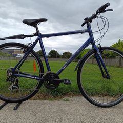 Trek 7.1FX Large