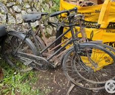 Bicycle high nelly x 2