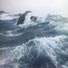 Craig555