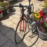 Orbea bike Image 5