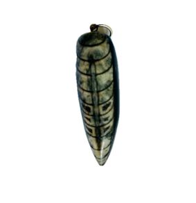 Orthoceras Fossil Pendant