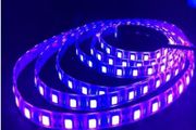 12V 1m UV Ultraviolet 395-405nm led strip black light 5050 2835 SMD 60led/m 120led/m Waterproof tape lamp for DJ Fluorescence