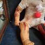 Vintage Scary Doll. Image 3