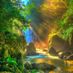 Cool Garden