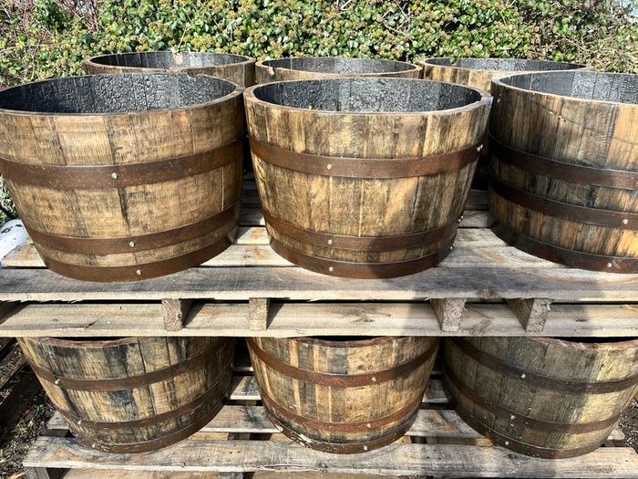 oak barrel planters