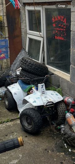suzuki lt50 x2