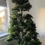 christmas tree Image 2