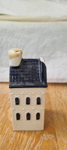 KLM Delft houses