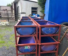 Feeding troughs