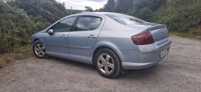 2009 Peugeot 407