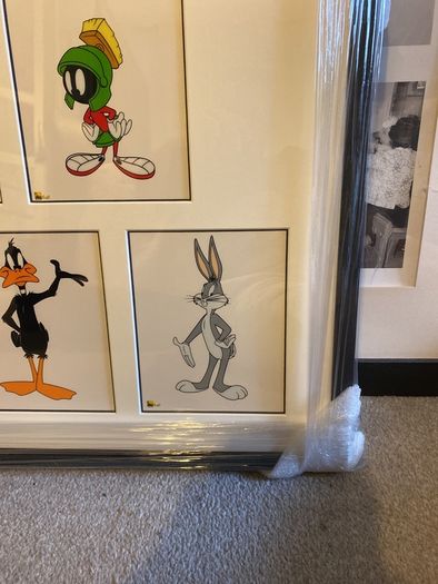 Warner Brother Studio Sericels