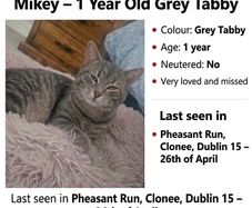 missing