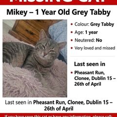 missing
