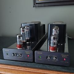 Cary Audio CAD-40M MkII pure Class A monoblock amp
