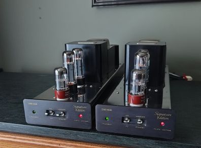 Cary Audio CAD-40M MkII pure Class A monoblock amp
