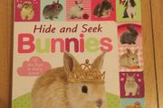 Hide and seek Bunnies