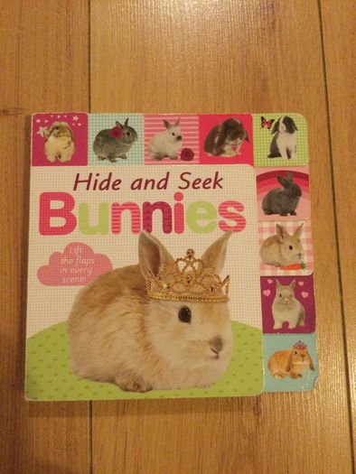 Hide and seek Bunnies