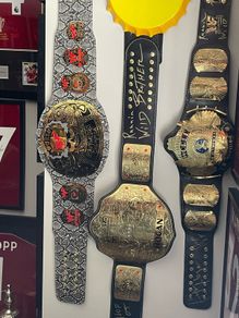 WWF Stone cold Steve Austin title belt