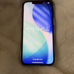 iPhone 13