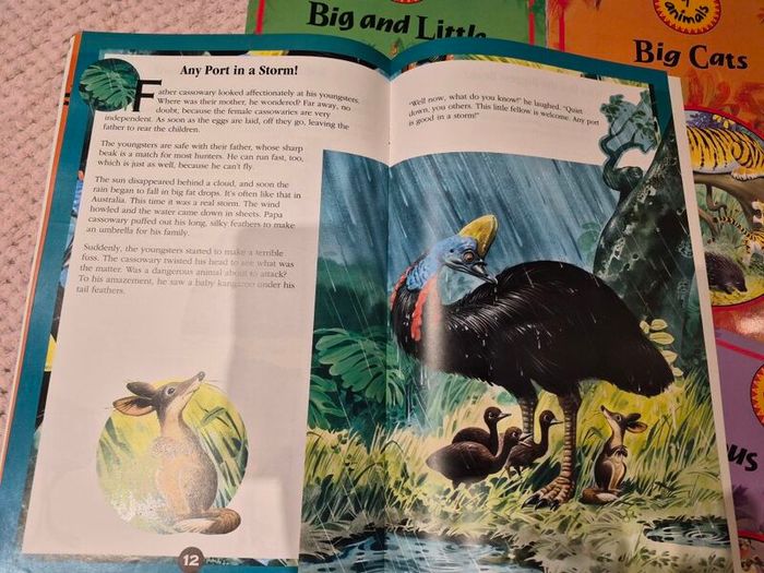 Vintage oversized Book World of Animals