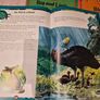 Vintage oversized Book World of Animals Image 7