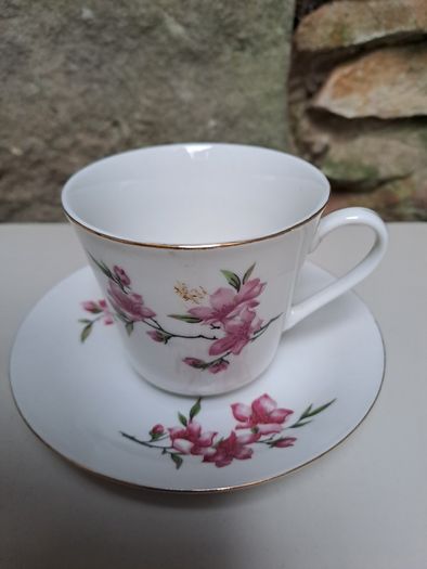Tientsin Porcelain cup and saucer