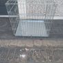 Small dog cage Image 2