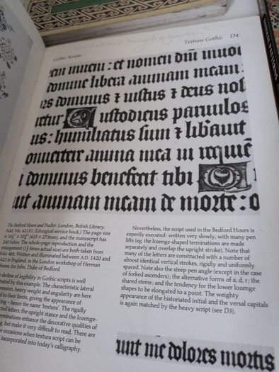 calligraphy books