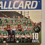 Irish Telecom Eireann Callcard Cardboard Advertising For Irish Soccer Team Usa World Cup 94 10units 14" X 9 " ,, 36cm X 23cm Image 5