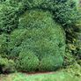 Gardening Image 10
