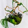 Handmade home deco-  preserved moss Image 8