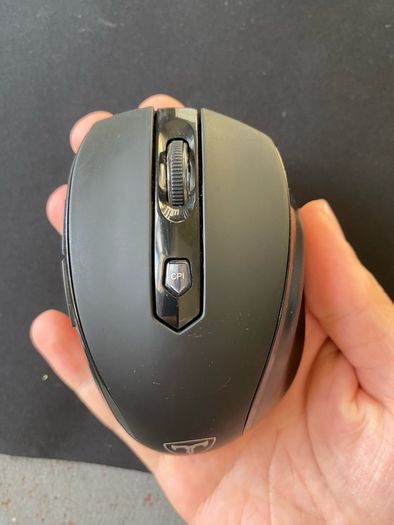 mouse