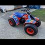 quad Image 3