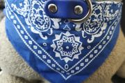 Beautiful Dog Collar