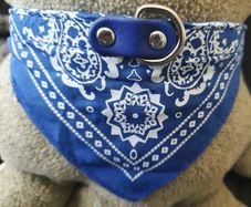 Beautiful Dog Collar