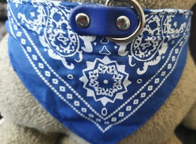 Beautiful Dog Collar