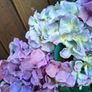Hydrangea wreath Image 2