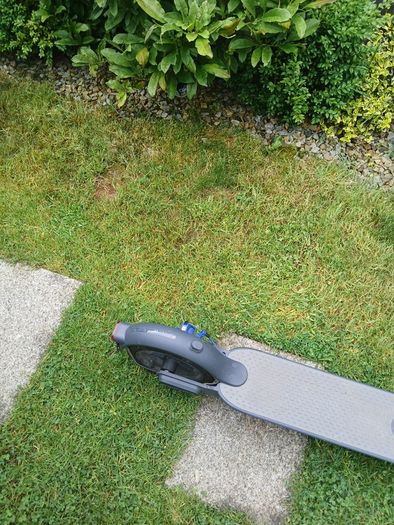 Electric scooter