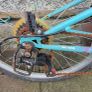 Girls bicycle Image 4