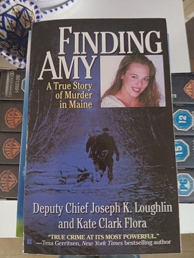 finding Amy true crime book