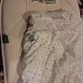 Little Green Sheep Organic Moses Basket Mattress Image 3