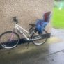 adult bike Image 2