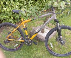 Schwinn mountain bike