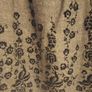 Dress Apricot Image 4